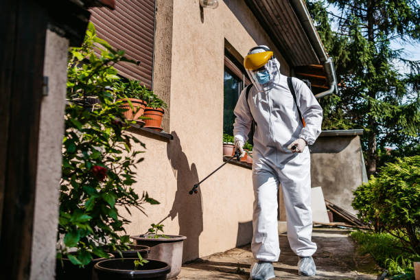 Flea Control Services in Boothwyn, PA