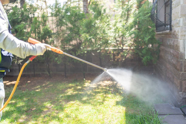 Best Flea Control Services  in Boothwyn, PA